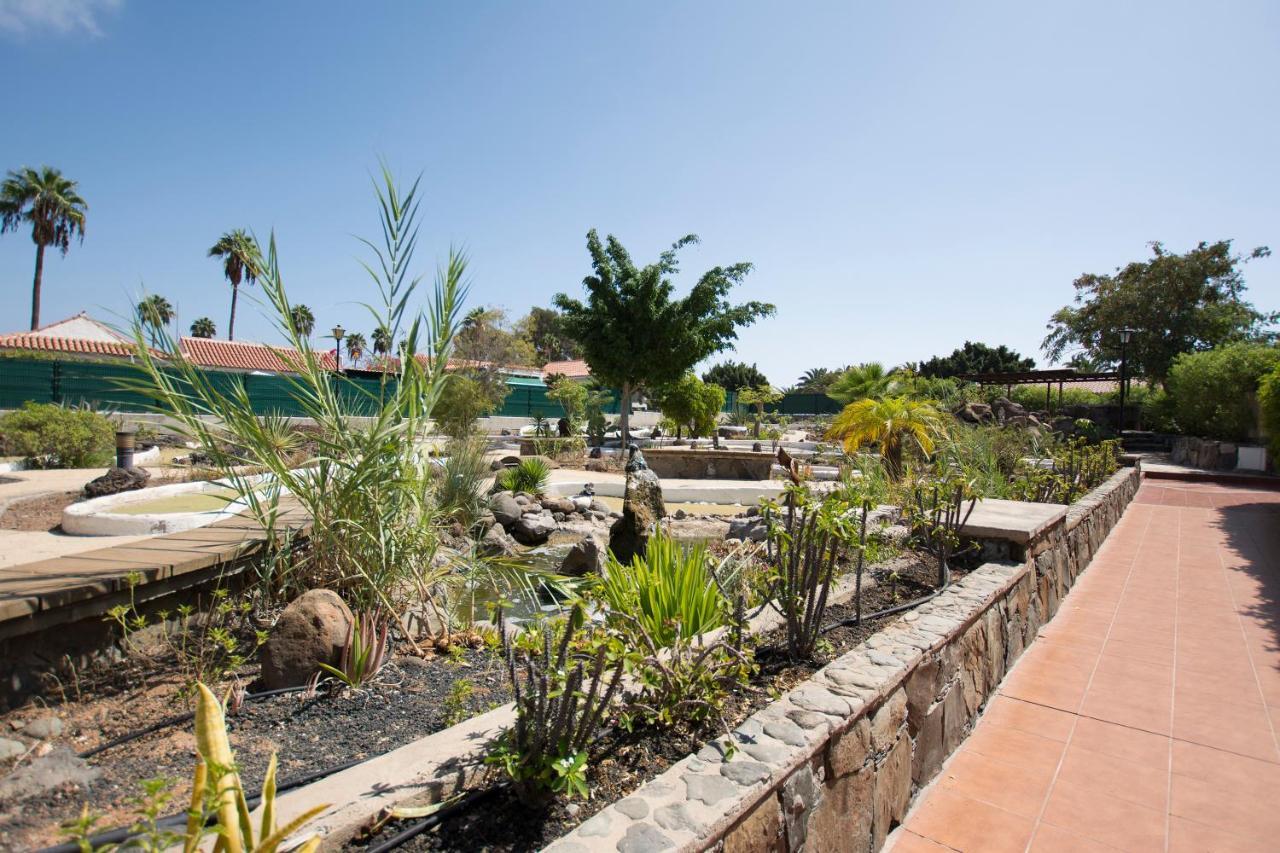 Serenity Garden Maspalomas  Exteriör bild