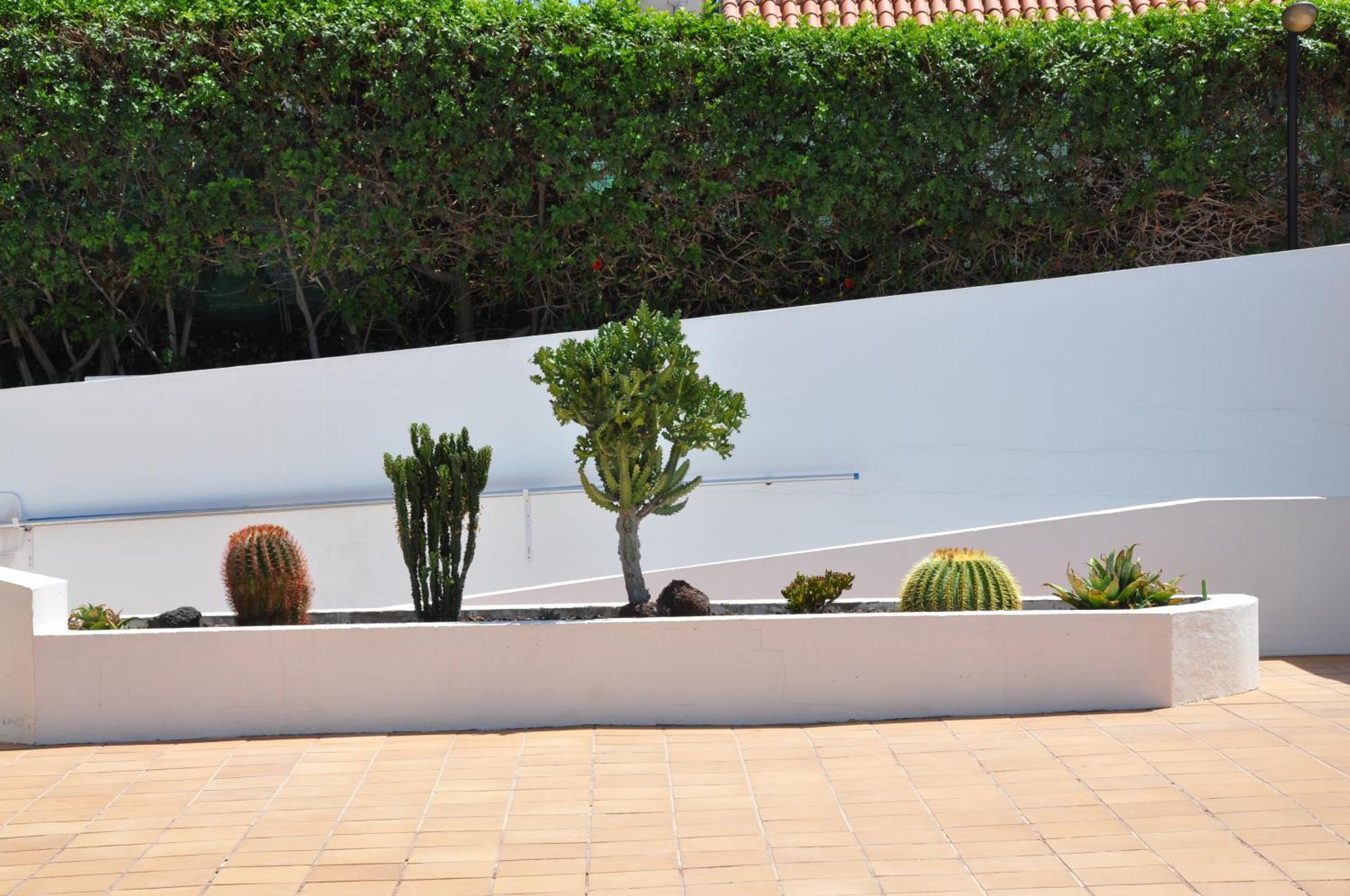 Serenity Garden Maspalomas  Exteriör bild