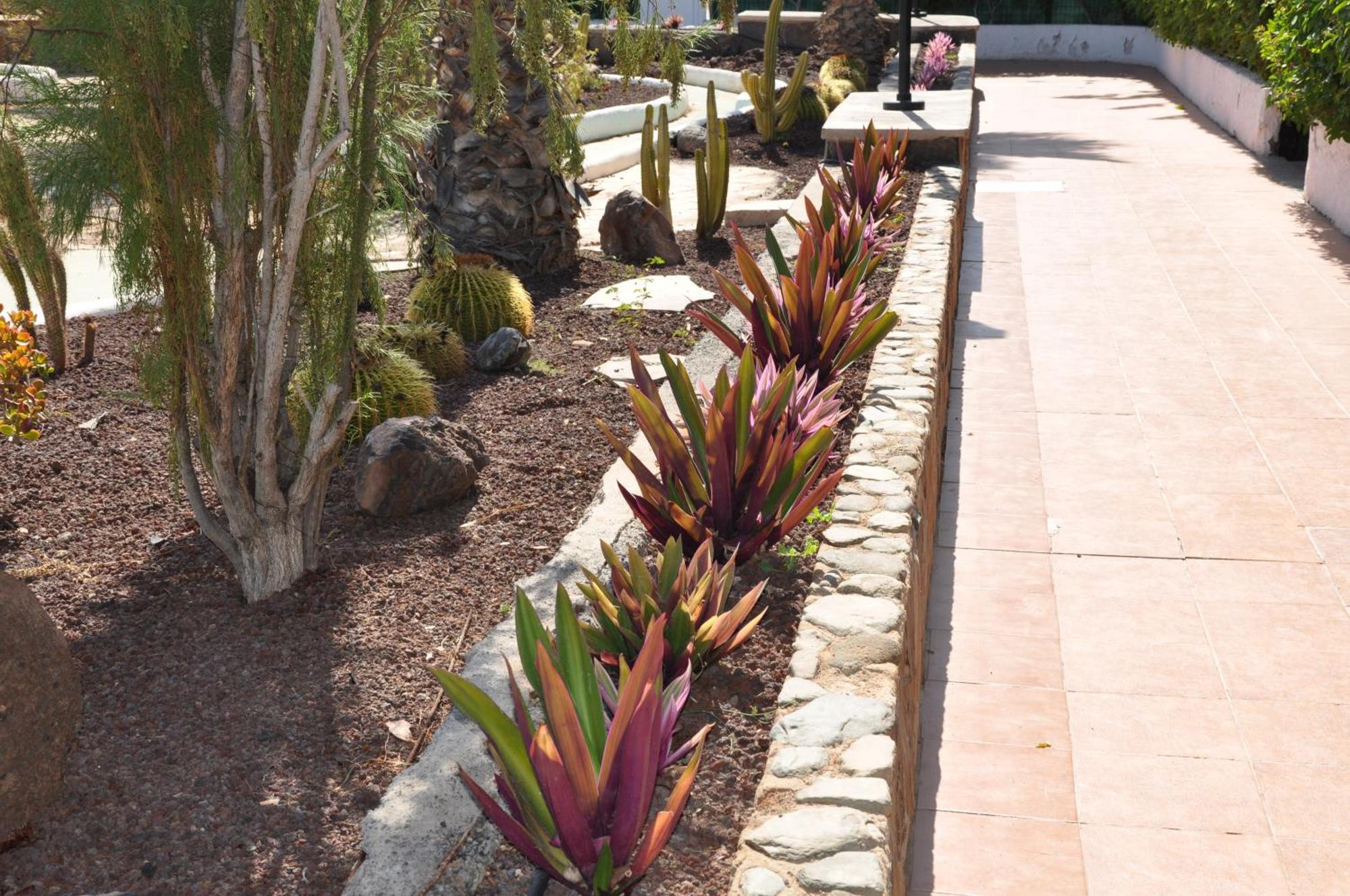 Serenity Garden Maspalomas  Exteriör bild
