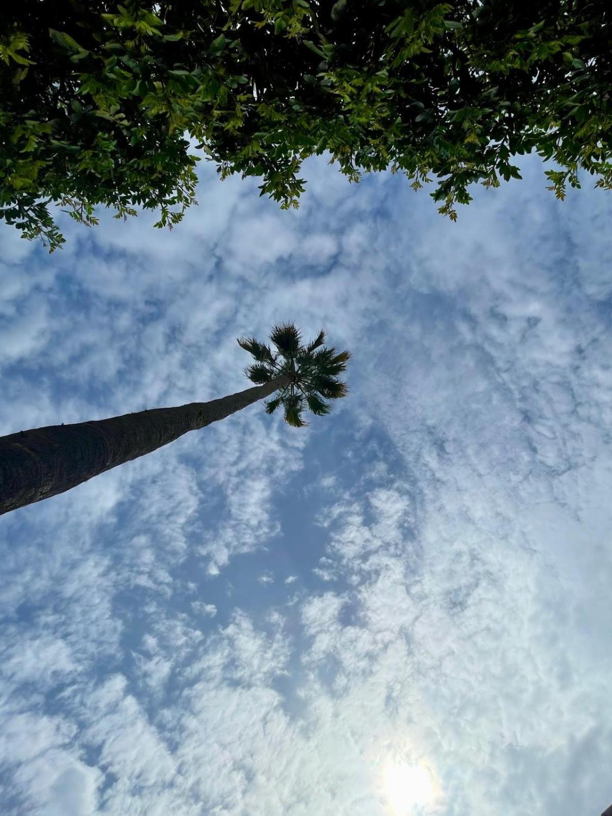 Serenity Garden Maspalomas  Exteriör bild